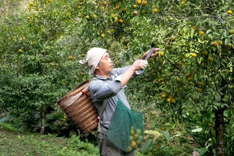 湖北围城新材料环保防水涂料核心性能与民用建筑适用场景说明